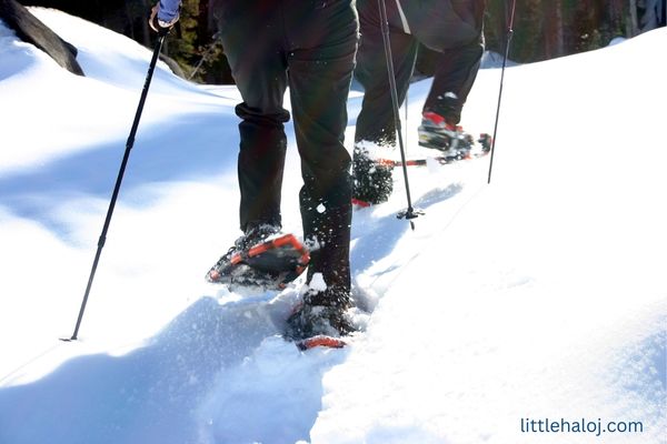 Winter Bucket List Snowshoeing