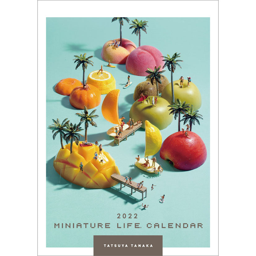 MINIATURE LIFE CALENDAR 2022 : Miniature Calendar 4900459550179