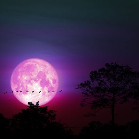 Full Moon Meditation June Strawberry Moon Meditation