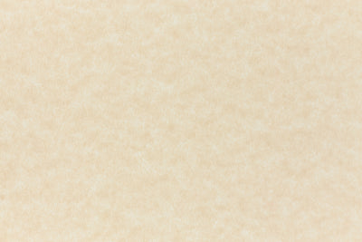 Whip Cream Cardstock (Hemptone, Cover Weight) – French Paper