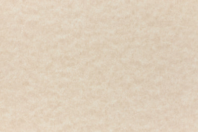 Aged Parchment Cardstock - Tan Cover Weight Paper - Parchtone – French Paper