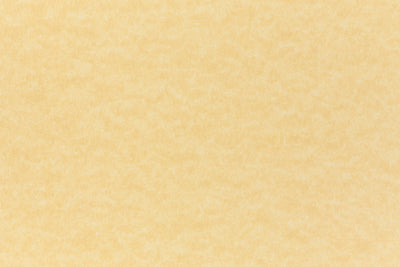 Butcher Orange Paper (Dur-O-Tone, Text Weight) – French Paper