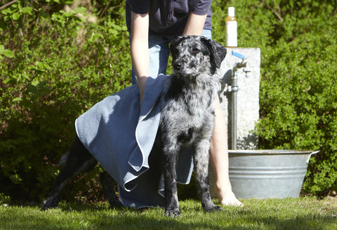 MiaCara PANNO MICROFIBER DOG TOWEL | Glamourpurrs