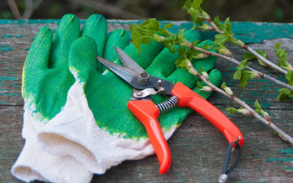 Common Methods for Sterilizing Pruners