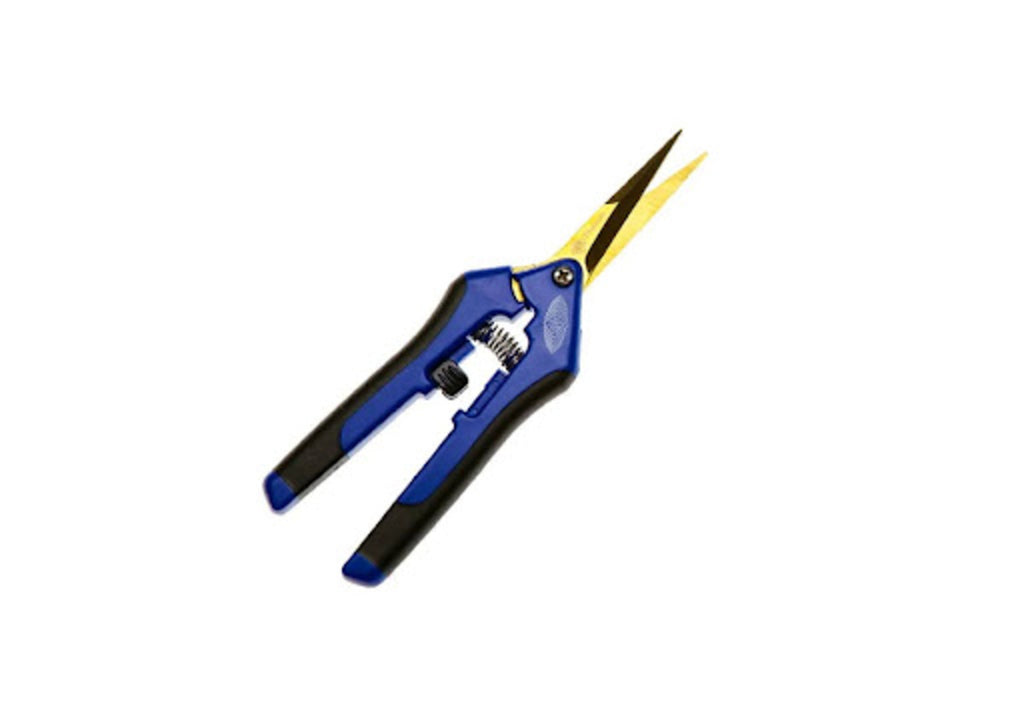 Giro's Blue Pruner Titanium Straight Blades with blue and black handles and gold-colored blades
