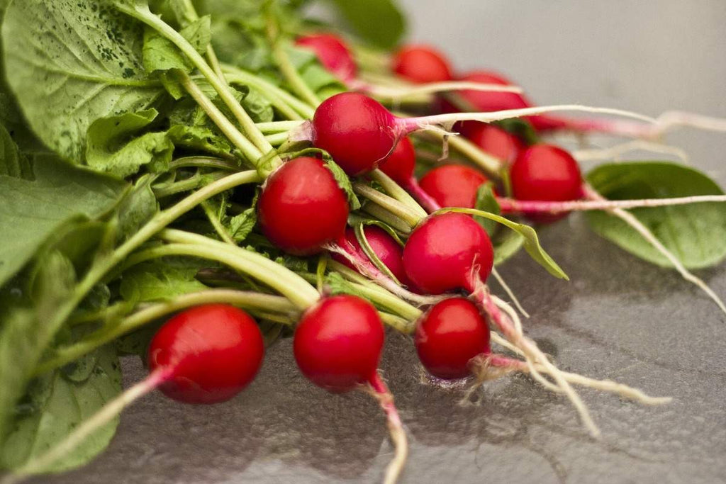 How Much Light Do Hydroponic Radishes Need?