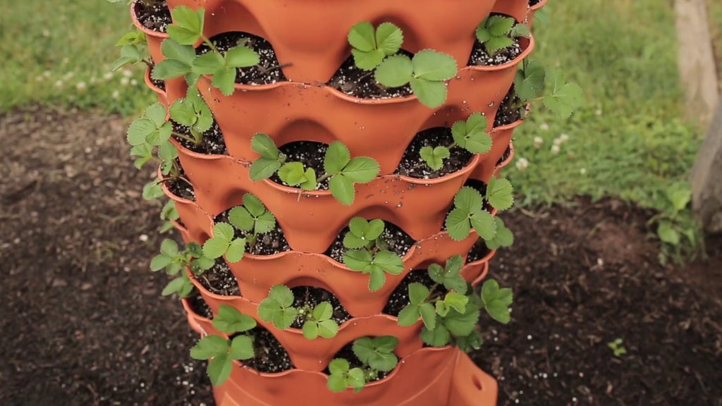 Setting Up Your Tower Garden