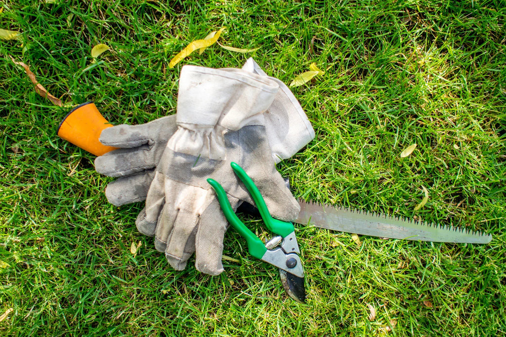 Steps for Properly Sterilizing Pruners