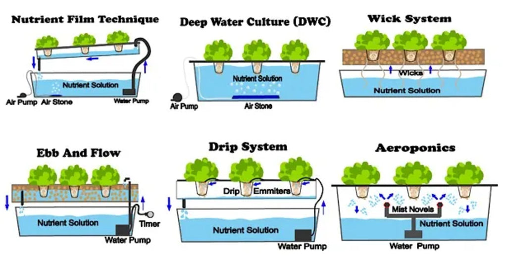 What Are the Six Types of Hydroponic Systems?