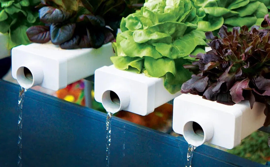 Hydroponic Water Systems