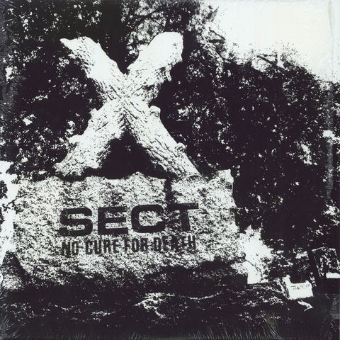 Sect New, Cheap & Rare Vinyl Records, CDs, 7, 12, LP Albums & Memorabilia  — RareVinyl.com