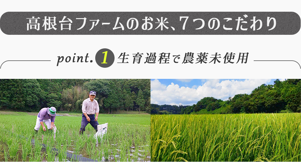高根台ファームのお米　７つのこだわり ポイント１.生育過程で農薬未使用