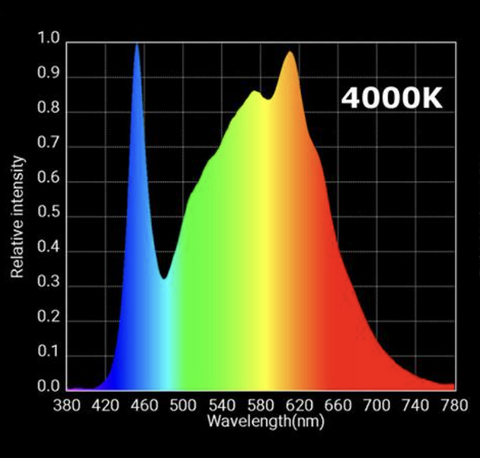 4000k colour spectrum image