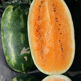 40 Tendersweet Orange Watermelon Seeds Heirloom