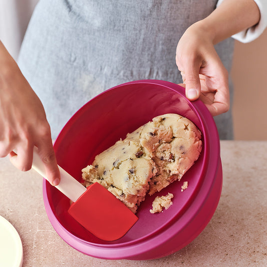 Chef Series II 8/20 cm Fry Pan with Glass Cover – Tupperware US