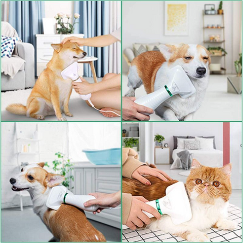 low noise 2 in 1 brush dryer for pets