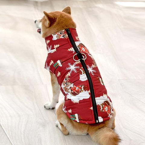 shiba inu wearing christmas dog jacket