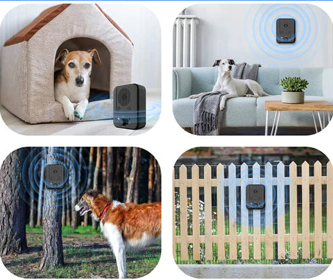 anti bark device for dogs multiple locations