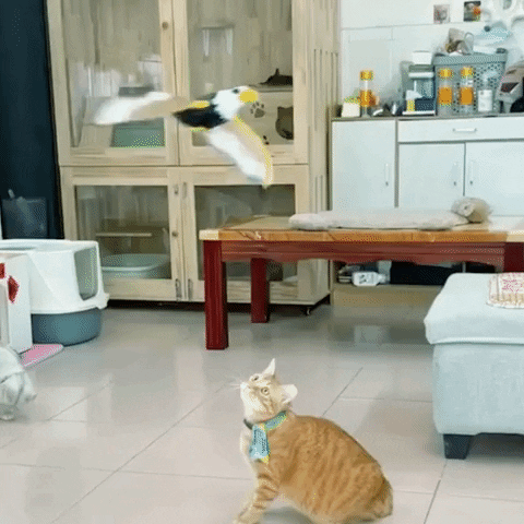 cat jumping on a flying bird toy in the living room