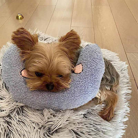 yorkshire terrier laying on dog calming pillow