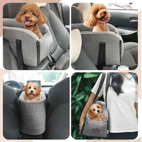 collage small dog in console dog seat carrier