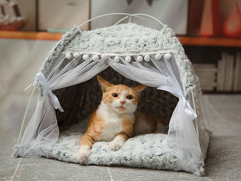 ginger cat laying in an indoor tent for cats