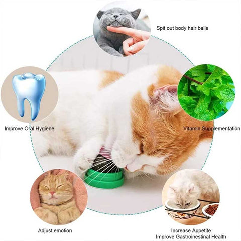 catnip balls for cats benefits