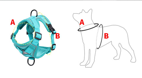 blue dog harness circumference dog body