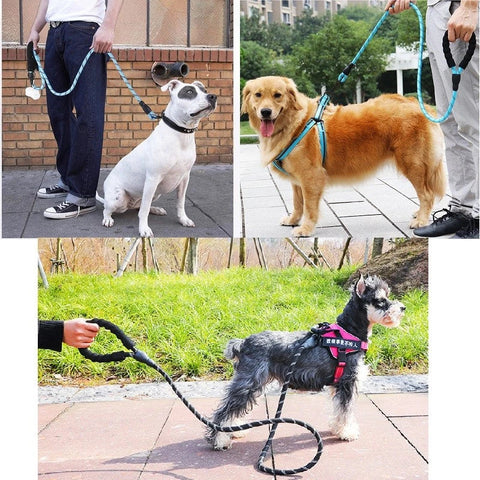 collage of dogs with strong rope leashes