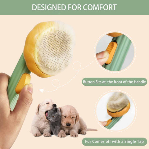 steps for brushing cat with pet pumpkin brush