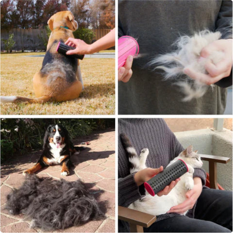 collage of much pet fur removed with dog comb
