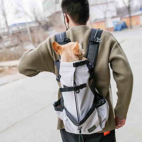man with dog and dog carrying backpack outside