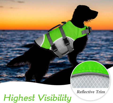 dog in a reflective life jacket for dogs at night