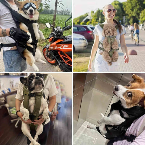 lifestyle collage people with dog front backpack carrier