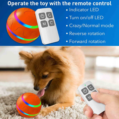 remote controlled toy ball for dogs and cats