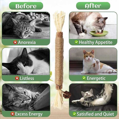 silvervine cat toy stick multiple benefits