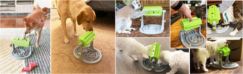 dog cat puzzle slow feeder