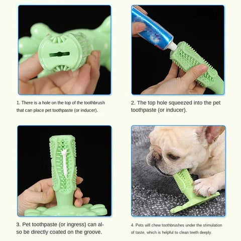 instructions to use dog toothbrush chew toy