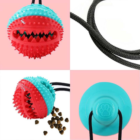 treat dispenser ball on a rope dog pull toy