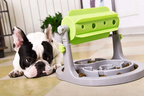 french bulldog next to his treat dispenser toy for dogs