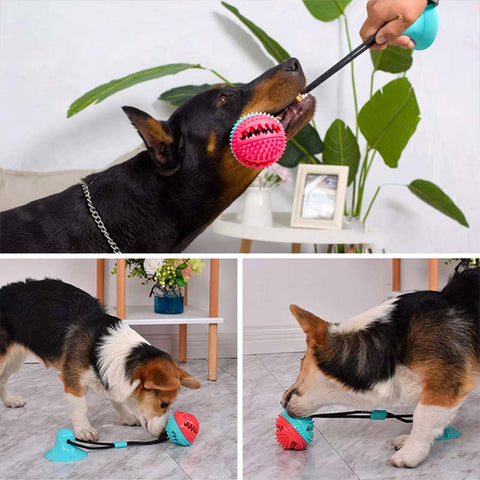 collage of dogs playing with treat dispenser tug of war toy