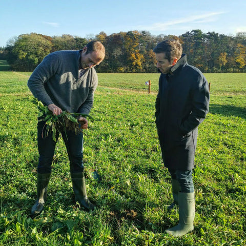 James Daniel and James George checking out the root structure of a turnip top