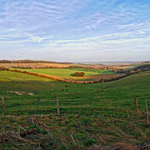 Rolling hills of Berkshire