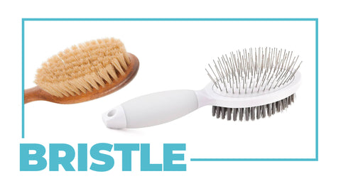 Bristle and Double Sided Cat Brushes