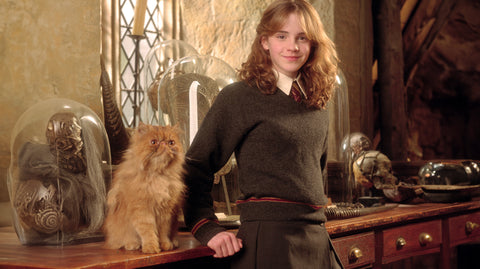 Crookshanks and hermione granger from harry potter in a rustic magical lab