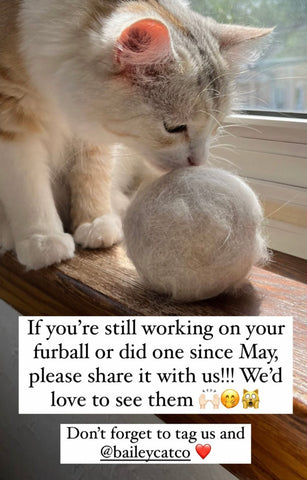 Cat sitting next to giant cat furball or hairball that participated in the furball challenge