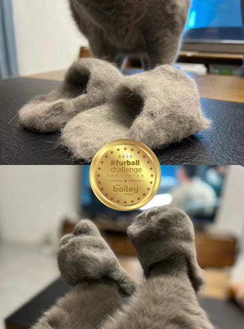 Cute fuzzy slippers on cats feet made from cats fur