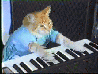 Famous Meme Keyboard Cat
