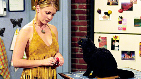 Salem the cat next to Sabrina the teenage witch in the kitchen