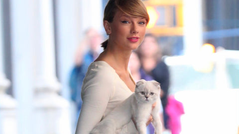 Taylor Swift and Her Cat Olivia